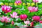 ֹ,󷨵ӹףʦ(22)
