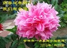 ֹ,д󷨵ӹףʦ(25)
