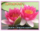 ֹ,󷨵ӹףʦ(22)
