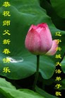 ֹ,«󷨵ӹףʦ(25)
