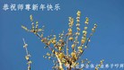 ֹ,󷨵ӹףʦ(33)
