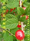 ֹ,д󷨵ӹףʦ(25)
