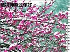 ֹ,ൺ󷨵ӹףʦ(26)
