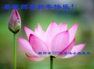 ֹ,ϴ󷨵ӹףʦ(22)

