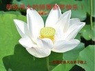 ֹ,ൺ󷨵ӹףʦ(26)
