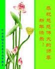 法轮功,河北大法弟子恭祝师尊新年快乐(22条)
