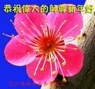 ֹ,ӱ󷨵ӹףʦ(22)
