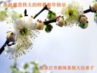 ֹ,ʯׯ󷨵ӹףʦ(28)

