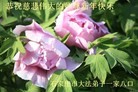 ֹ,ʯׯ󷨵ӹףʦ(28)
