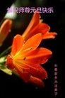 ֹ,ʡ󷨵ӹףʦ(24)