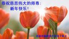 ֹ,ʡ󷨵ӹףʦ(24)