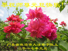 ֹ,㶫󷨵ӹףʦ(29)