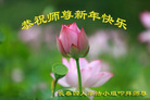 ֹ,ʡ󷨵ӹףʦ(19)