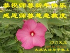 ֹ,󷨵ӹףʦ(19)