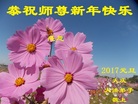 ֹ,󷨵ӹףʦ(19)