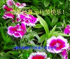 ֹ,Ϻ󷨵ӹףʦ(22)