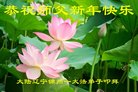 ֹ,ݴ󷨵ӹףʦ(23)