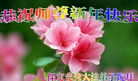 ֹ,󷨵ӹףʦ(22)