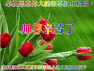 ֹ,󷨵ӹףʦ(22)