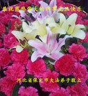 ֹ,󷨵ӹףʦ(22)