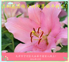 ֹ,󷨵ӹףʦ(20)