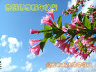 ֹ,ʡ󷨵ӹףʦ(19)