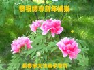 ֹ,ʡ󷨵ӹףʦ(19)