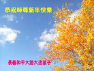 ֹ,ʡ󷨵ӹףʦ(19)