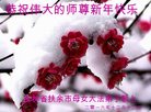 ֹ,ʡ󷨵ӹףʦ(22)