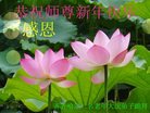 ֹ,󷨵ӹףʦ(21)