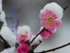 ֹ,󷨵ӹףʦ(23)