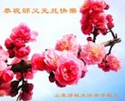 ֹ,Ϋ󷨵ӹףʦ(21)