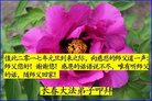 ֹ,󷨵ӹףʦ(23)