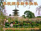 法轮功,山西大法弟子恭祝师尊新年好(21条)