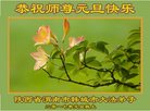 法轮功,陕西大法弟子恭祝师尊新年好(19条)