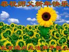 ֹ,󷨵ӹףʦ(23)