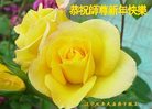 ֹ,ݴ󷨵ӹףʦ(23)