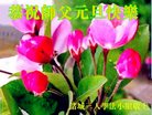 ֹ,Ϋ󷨵ӹףʦ(24)