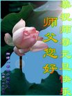 法轮功,湖南大法弟子恭祝师尊新年好(20条)