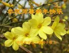 ֹ,ʡ󷨵ӹףʦ(22)