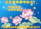 ֹ,󷨵ӹףʦ(20)