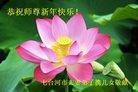 法轮功,黑龙江大法弟子恭祝师尊新年好(20条)