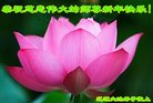 ֹ,ʡ󷨵ӹףʦ(22)