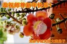 ֹ,󷨵ӹףʦ(24)