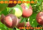 ֹ,󷨵ӹףʦ(24)