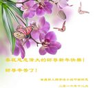 法轮功,重庆大法弟子恭祝师尊新年好(24条)