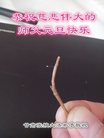 ֹ,󷨵ӹףʦ(28)