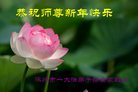 ֹ,󷨵ӹףʦ(23)