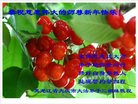 ֹ,󷨵ӹףʦ(23)