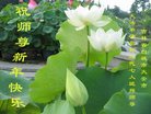 ֹ,д󷨵ӹףʦ(21)